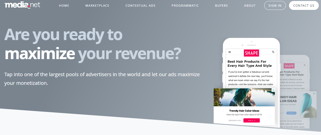 2024's Best Adsense Alternatives To 10x Your Ad Earnings